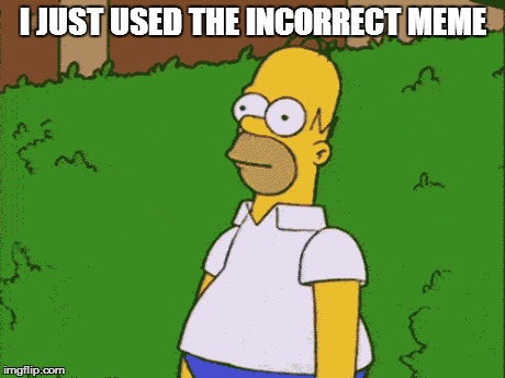 *hides in bush* | I JUST USED THE INCORRECT MEME | image tagged in memes,the simpsons | made w/ Imgflip meme maker