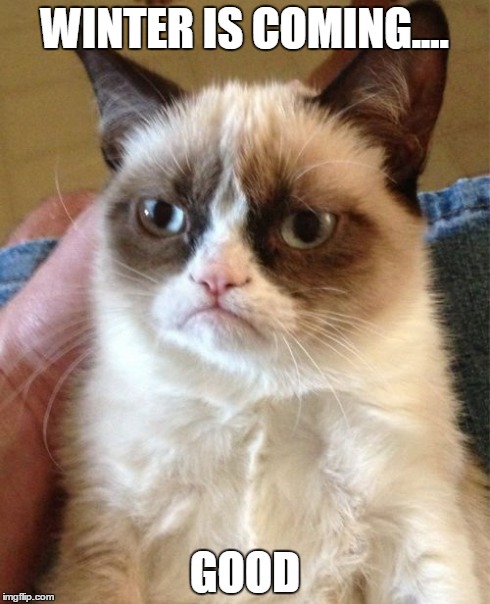 Grumpy Cat | WINTER IS COMING.... GOOD | image tagged in memes,grumpy cat | made w/ Imgflip meme maker
