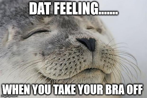 Satisfied Seal Meme | DAT FEELING....... WHEN YOU TAKE YOUR BRA OFF | image tagged in memes,satisfied seal | made w/ Imgflip meme maker