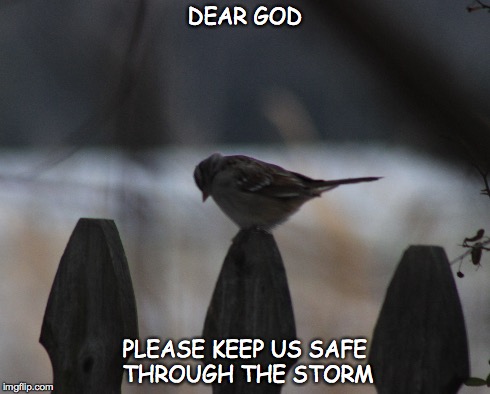 You think I care? Well I dont give a damn    I DONT GIVE A F**KING DAMNB**ch! | image tagged in birds,prayers,praying,bird,help | made w/ Imgflip meme maker