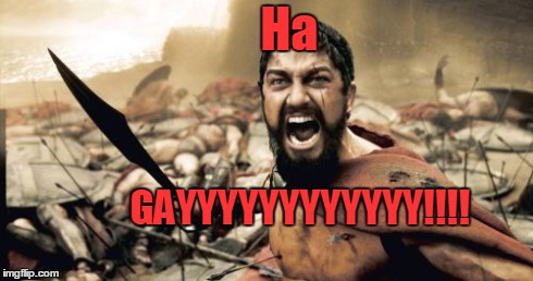 Sparta Leonidas | Ha GAYYYYYYYYYYYY!!!! | image tagged in memes,sparta leonidas | made w/ Imgflip meme maker