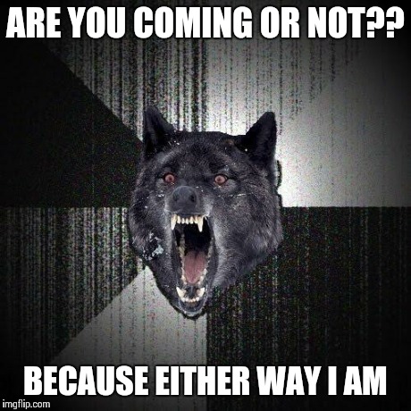 Insanity Wolf | ARE YOU COMING OR NOT?? BECAUSE EITHER WAY I AM | image tagged in memes,insanity wolf | made w/ Imgflip meme maker