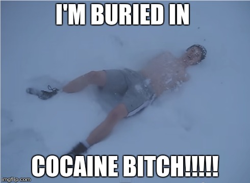 I'M BURIED IN COCAINE B**CH!!!!! | image tagged in cocaine,snow,bitch | made w/ Imgflip meme maker