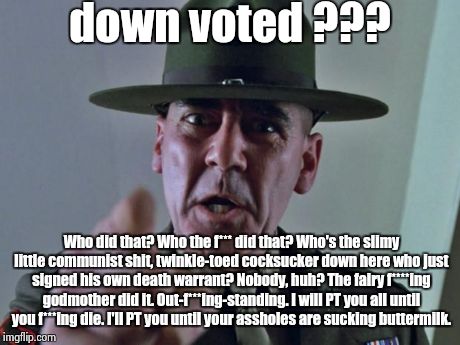someone down voted muh patriotic meme | down voted ??? Who did that? Who the f*** did that? Who's the slimy little communist shit, twinkle-toed cocksucker down here who just signed | image tagged in drill sergeant | made w/ Imgflip meme maker