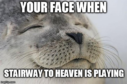 Satisfied Seal | YOUR FACE WHEN STAIRWAY TO HEAVEN IS PLAYING | image tagged in memes,satisfied seal | made w/ Imgflip meme maker