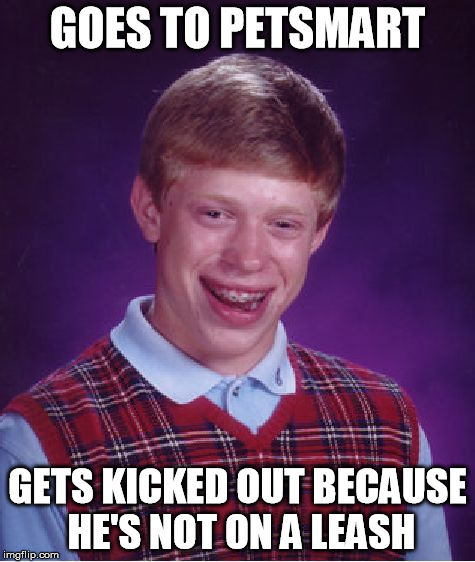 Bad Luck Brian | GOES TO PETSMART GETS KICKED OUT BECAUSE HE'S NOT ON A LEASH | image tagged in memes,bad luck brian | made w/ Imgflip meme maker