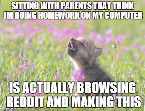 Baby Insanity Wolf Meme | SITTING WITH PARENTS THAT THINK IM DOING HOMEWORK ON MY COMPUTER IS ACTUALLY BROWSING REDDIT AND MAKING THIS | image tagged in memes,baby insanity wolf | made w/ Imgflip meme maker