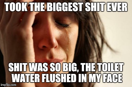 First World Problems | TOOK THE BIGGEST SHIT EVER SHIT WAS SO BIG, THE TOILET WATER FLUSHED IN MY FACE | image tagged in memes,first world problems | made w/ Imgflip meme maker