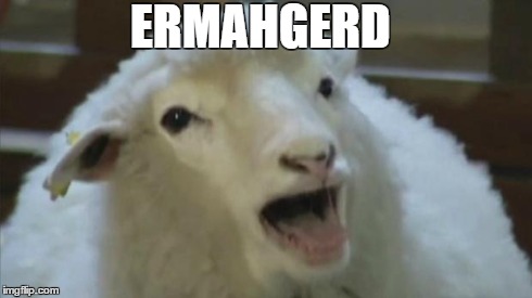 derp sheep | ERMAHGERD | image tagged in derp sheep,ermahgerd,derp,funny animals,sheep | made w/ Imgflip meme maker