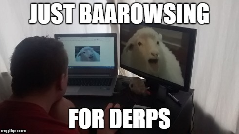 Just baarowsing | JUST BAAROWSING FOR DERPS | image tagged in sheep,derp,funny animals,puns | made w/ Imgflip meme maker