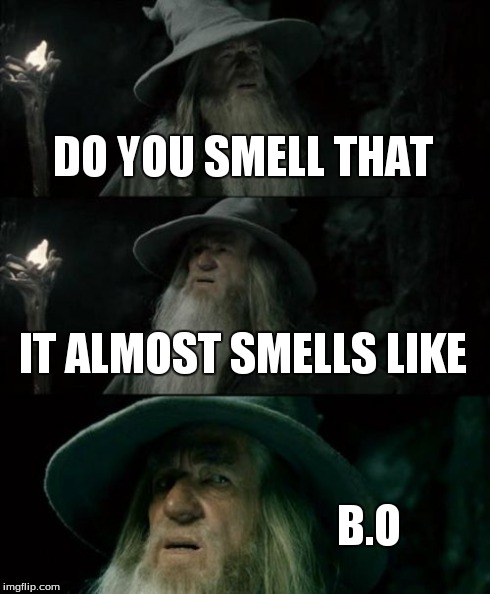 Confused Gandalf | DO YOU SMELL THAT IT ALMOST SMELLS LIKE B.O | image tagged in memes,confused gandalf | made w/ Imgflip meme maker