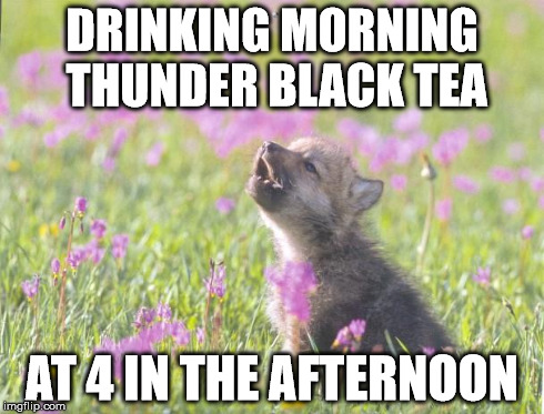 Baby Insanity Wolf Meme | DRINKING MORNING THUNDER BLACK TEA AT 4 IN THE AFTERNOON | image tagged in memes,baby insanity wolf,TrollXChromosomes | made w/ Imgflip meme maker
