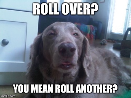 High Dog Meme | ROLL OVER? YOU MEAN ROLL ANOTHER? | image tagged in memes,high dog | made w/ Imgflip meme maker