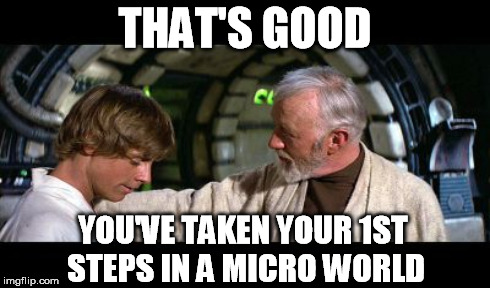 THAT'S GOOD YOU'VE TAKEN YOUR 1ST STEPS IN A MICRO WORLD | made w/ Imgflip meme maker