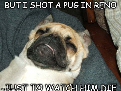 Homer does Johnny Cash | BUT I SHOT A PUG IN RENO JUST TO WATCH HIM DIE | image tagged in homer the pug,funny,pet,pug | made w/ Imgflip meme maker
