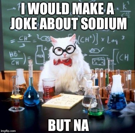 Chemistry Cat | I WOULD MAKE A JOKE ABOUT SODIUM BUT NA | image tagged in memes,chemistry cat | made w/ Imgflip meme maker