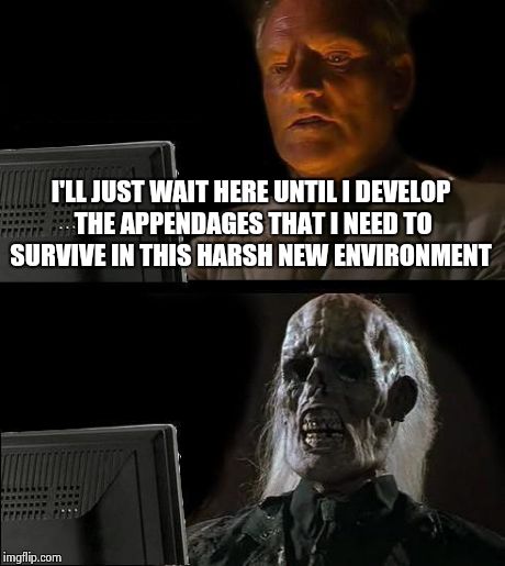 I'll Just Wait Here Meme | I'LL JUST WAIT HERE UNTIL I DEVELOP THE APPENDAGES THAT I NEED TO SURVIVE IN THIS HARSH NEW ENVIRONMENT | image tagged in memes,ill just wait here | made w/ Imgflip meme maker