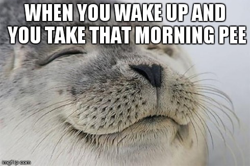Satisfied Seal | WHEN YOU WAKE UP AND YOU TAKE THAT MORNING PEE | image tagged in memes,satisfied seal | made w/ Imgflip meme maker