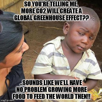 Global Warming | SO YOU'RE TELLING ME, MORE CO2 WILL CREATE A GLOBAL GREENHOUSE EFFECT?? ..SOUNDS LIKE WE'LL HAVE NO PROBLEM GROWING MORE FOOD TO FEED THE WO | image tagged in third world skeptical kid,global warming,co2,greenhouse,al gore | made w/ Imgflip meme maker