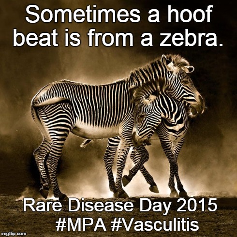 Zebra Diseases | Sometimes a hoof beat is from a zebra. Rare Disease Day 2015  #MPA #Vasculitis | image tagged in rare disease,rare disease day | made w/ Imgflip meme maker