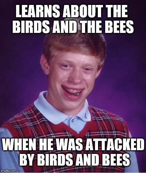 birds and bees | LEARNS ABOUT THE BIRDS AND THE BEES WHEN HE WAS ATTACKED BY BIRDS AND BEES | image tagged in memes,bad luck brian,bees,birds | made w/ Imgflip meme maker