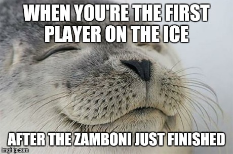 Satisfied Seal Meme | WHEN YOU'RE THE FIRST PLAYER ON THE ICE AFTER THE ZAMBONI JUST FINISHED | image tagged in memes,satisfied seal,hockeyplayers | made w/ Imgflip meme maker