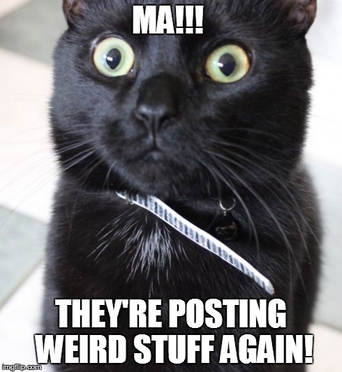 Woah Kitty Meme | MA!!! THEY'RE POSTING WEIRD STUFF AGAIN! | image tagged in memes,woah kitty | made w/ Imgflip meme maker