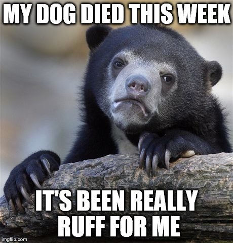 Confession Bear | MY DOG DIED THIS WEEK IT'S BEEN REALLY RUFF FOR ME | image tagged in memes,confession bear | made w/ Imgflip meme maker
