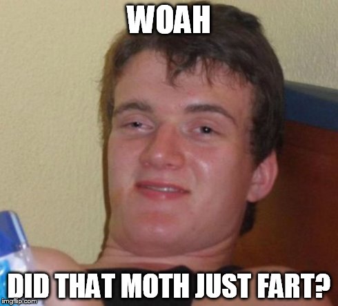 10 Guy | WOAH DID THAT MOTH JUST FART? | image tagged in memes,10 guy | made w/ Imgflip meme maker