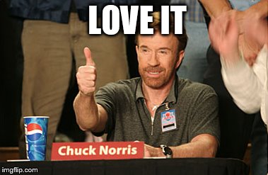Chuck Norris Approves | LOVE IT | image tagged in memes,chuck norris approves | made w/ Imgflip meme maker