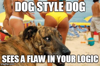 DOG STYLE DOG SEES A FLAW IN YOUR LOGIC | image tagged in dog style dog | made w/ Imgflip meme maker