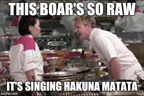 It Means No Worries | THIS BOAR'S SO RAW IT'S SINGING HAKUNA MATATA | image tagged in memes,angry chef gordon ramsay | made w/ Imgflip meme maker