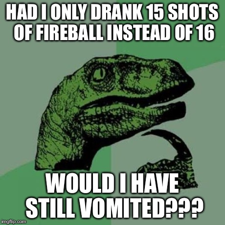 Philosoraptor | HAD I ONLY DRANK 15 SHOTS OF FIREBALL INSTEAD OF 16 WOULD I HAVE STILL VOMITED??? | image tagged in memes,philosoraptor | made w/ Imgflip meme maker