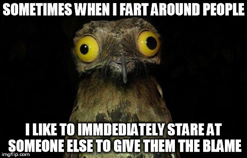 Weird Stuff I Do Potoo | SOMETIMES WHEN I FART AROUND PEOPLE I LIKE TO IMMDEDIATELY STARE AT SOMEONE ELSE TO GIVE THEM THE BLAME | image tagged in memes,weird stuff i do potoo | made w/ Imgflip meme maker