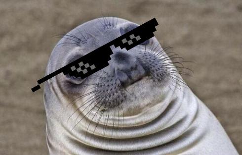 Seal swag Blank Meme Template
