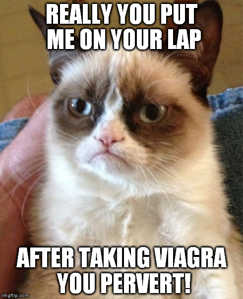 Grumpy Cat | REALLY YOU PUT ME ON YOUR LAP AFTER TAKING VIAGRA YOU PERVERT! | image tagged in memes,grumpy cat | made w/ Imgflip meme maker