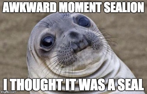 Awkward Moment Sealion | AWKWARD MOMENT SEALION I THOUGHT IT WAS A SEAL | image tagged in memes,awkward moment sealion | made w/ Imgflip meme maker