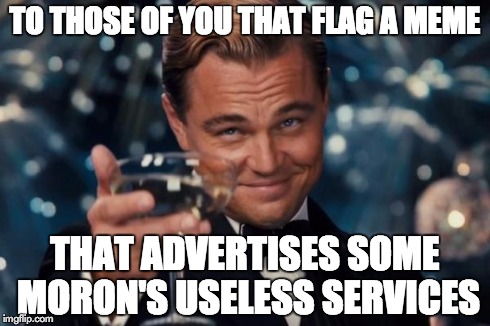 Leonardo Dicaprio Cheers | TO THOSE OF YOU THAT FLAG A MEME THAT ADVERTISES SOME MORON'S USELESS SERVICES | image tagged in memes,leonardo dicaprio cheers | made w/ Imgflip meme maker