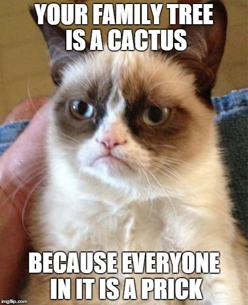 Grumpy Cat Meme | YOUR FAMILY TREE IS A CACTUS BECAUSE EVERYONE IN IT IS A PRICK | image tagged in memes,grumpy cat | made w/ Imgflip meme maker
