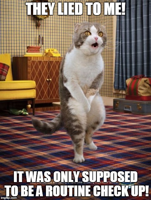 Gotta Go Cat | THEY LIED TO ME! IT WAS ONLY SUPPOSED TO BE A ROUTINE CHECK UP! | image tagged in memes,gotta go cat | made w/ Imgflip meme maker