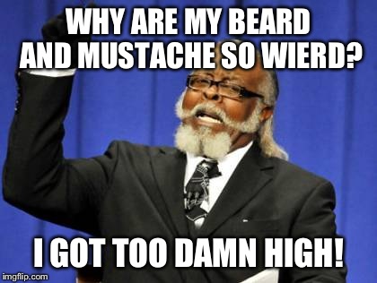 Too Damn High Meme | WHY ARE MY BEARD AND MUSTACHE SO WIERD? I GOT TOO DAMN HIGH! | image tagged in memes,too damn high | made w/ Imgflip meme maker