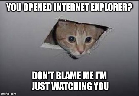 YOU OPENED INTERNET EXPLORER? DON'T BLAME ME I'M JUST WATCHING YOU | image tagged in peeking cat | made w/ Imgflip meme maker