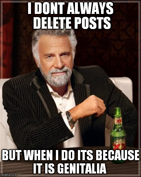 The Most Interesting Man In The World | I DONT ALWAYS DELETE POSTS BUT WHEN I DO ITS BECAUSE IT IS GENITALIA | image tagged in memes,the most interesting man in the world | made w/ Imgflip meme maker