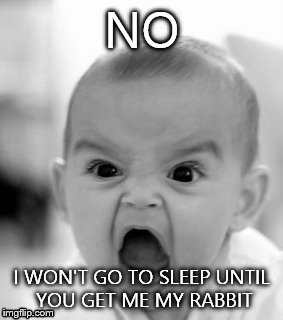 Angry Baby | NO I WON'T GO TO SLEEP UNTIL YOU GET ME MY RABBIT | image tagged in memes,angry baby | made w/ Imgflip meme maker