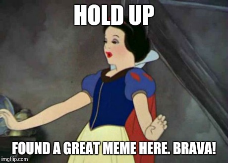 STAND BACK Y'ALL | HOLD UP FOUND A GREAT MEME HERE. BRAVA! | image tagged in stand back y'all | made w/ Imgflip meme maker