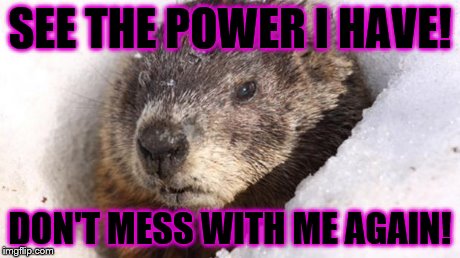Groundhog | SEE THE POWER I HAVE! DON'T MESS WITH ME AGAIN! | image tagged in groundhog | made w/ Imgflip meme maker