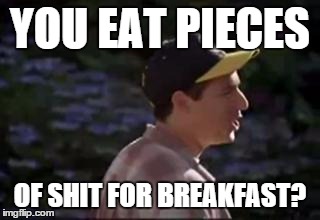 Pieces of Shit | YOU EAT PIECES OF SHIT FOR BREAKFAST? | image tagged in adam sandler,happy gilmore | made w/ Imgflip meme maker