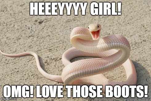 Fashion Snake | HEEEYYYY GIRL! OMG! LOVE THOSE BOOTS! | image tagged in pink,omg,excited,fashion,snake,reptile | made w/ Imgflip meme maker