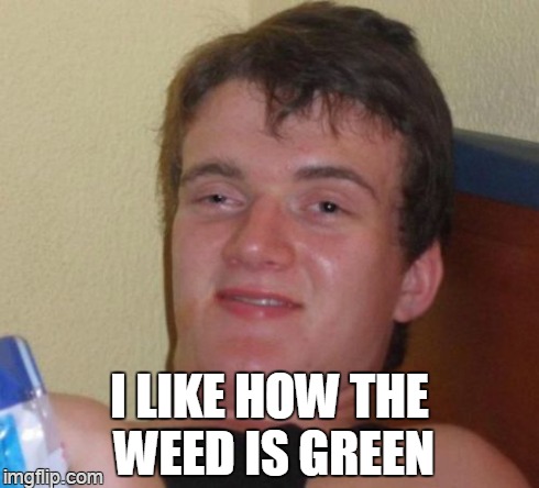 10 Guy Meme | I LIKE HOW THE WEED IS GREEN | image tagged in memes,10 guy | made w/ Imgflip meme maker