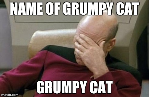 Captain Picard Facepalm Meme | NAME OF GRUMPY CAT GRUMPY CAT | image tagged in memes,captain picard facepalm | made w/ Imgflip meme maker